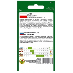 Nasiona Aster igieł Warszawskie Lila pnos639